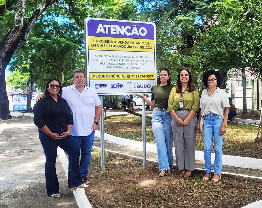 Divulgação
